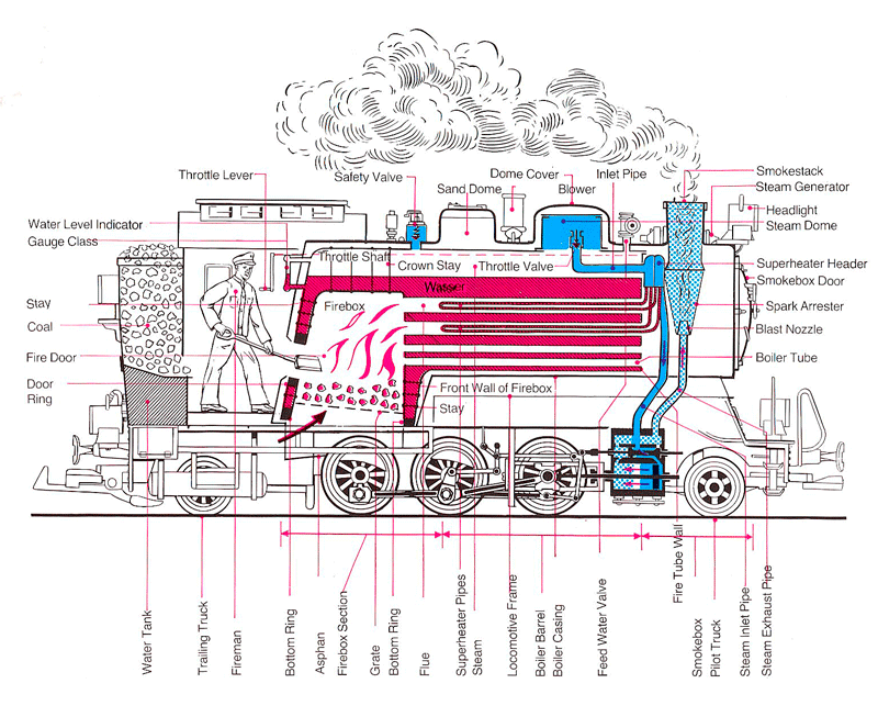 Cross Section of a Steam Locomotive  1